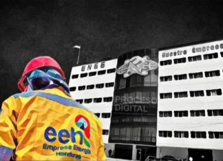 Gobierno debe hacer un plan estratégico para recuperar la ENEE