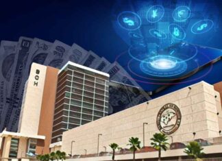 ¿Desaparecerá el lempira?, BCH inició consulta para crear moneda digital