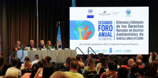 Defensores ambientales de Latinoamérica piden mayor protección ante la violencia regional