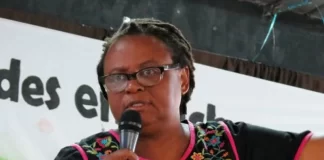 ONU, preocupada por falta de revisión a la protección de líder de etnia negra hondureña