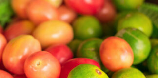 Buena cosecha de tomate y limón provoca rebaja en precio