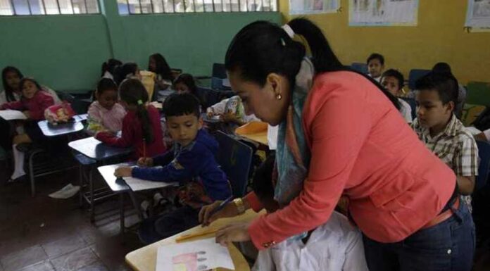 Profesores inician a recibir pago de salarios atrasados