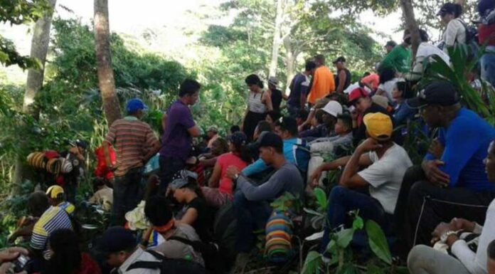 Presidentes de Panamá y Costa Rica visitarán el Darién ante la imparable crisis migratoria