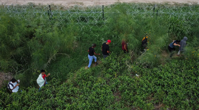 Migrantes en México caen en estafas de hasta 20 mil dólares ante las fallas del CBP One