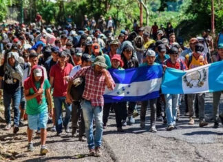 “Rescatar la Esperanza”, el libro que relata historias de desaparecidos de la migración