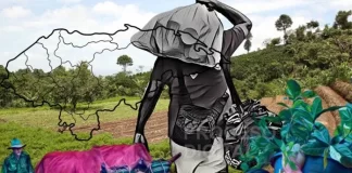 Construcción y agro resienten impacto de migración al mermar mano de obra