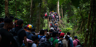 Más de 244 mil migrantes cruzaron el Darién en lo que va de año, un 31 % menos que en 2023