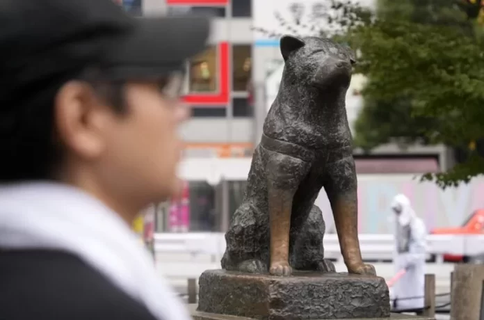 hachiko-shibuya-768x508