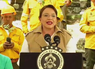 Presidenta entrega 27 contratos para conservación forestal y presume aumento en presupuesto de 150 % en este renglón