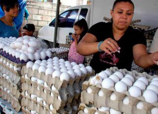 Piden congelar precio de huevo que ya alcanza precio récord de L. 150
