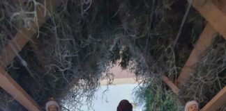 La Navidad nos debe de impulsar a la búsqueda común de la justicia y la paz: padre Tony Salinas