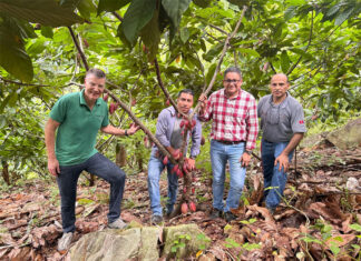 Un proyecto apoyará a productores de cacao de Honduras para exportar frutas deshidratadas