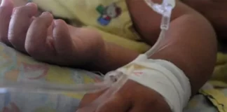 Muere un niño migrante de 5 años tras enfermar en un refugio de Chicago (EE.UU.)