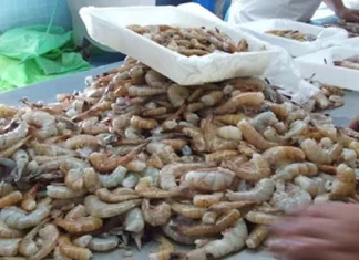 Solo Sinaloa cerró mercado a camarón hondureño, dice ministro de Presidencia