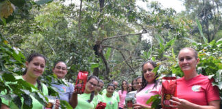 Capuqueño, un café hecho por mujeres copanecas