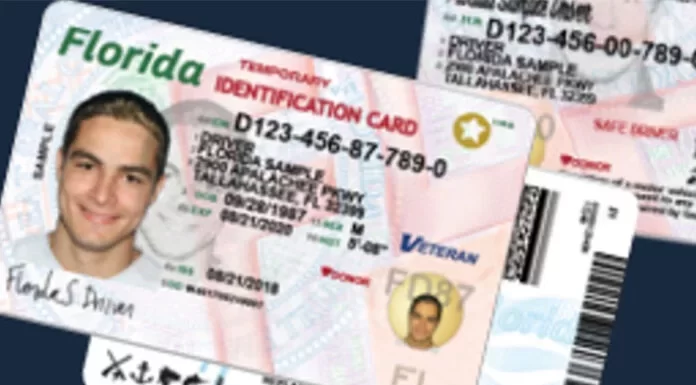 Florida busca prohibir uso de tarjetas de identificación de migrantes indocumentados