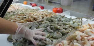 Honduras recurriría a la OMC si México no quita la restricción para exportación de camarón