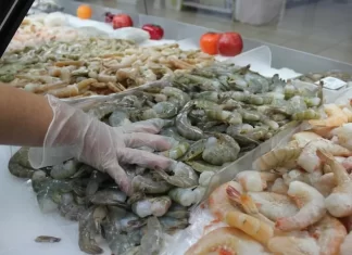 Honduras recurriría a la OMC si México no quita la restricción para exportación de camarón