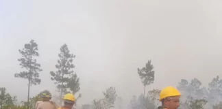 Honduras registra este año más de 4,800 hectáreas afectadas por 146 incendios forestales