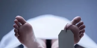 Media docena de migrantes en tránsito han fallecido en Honduras este 2024