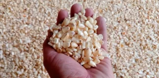 Presidente de Adecabah anuncia aumento en el precio del maíz y seis productos más en los mercados