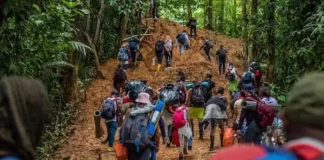 Más de 300 mil 500 migrantes han cruzado el Darién en 2024, un 41 % menos que el año pasado