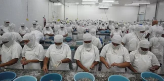 Camaroneros no han exportado ni una libra del producto a China