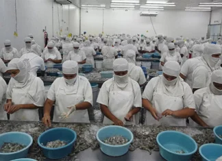 Camaroneros no han exportado ni una libra del producto a China