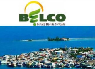 Gobierno consuma expropiación y confiscación de bienes: Empresa Belco