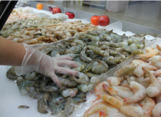 Con 120 kilos de camarón, Honduras participará en feria china