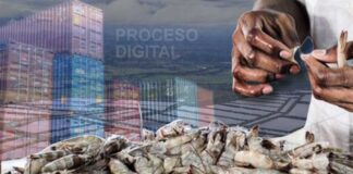 Honduras dice “avanza” en negociación para normalizar ingreso del camarón a México