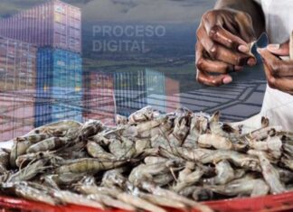 Honduras dice “avanza” en negociación para normalizar ingreso del camarón a México