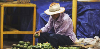 BID aprueba préstamo de 25 millones de dólares para mejorar inserción laboral en Honduras