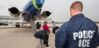 Ecologistas denuncian una «catástrofe» por vuelos de deportados desde ‘Alligator Alcatraz’