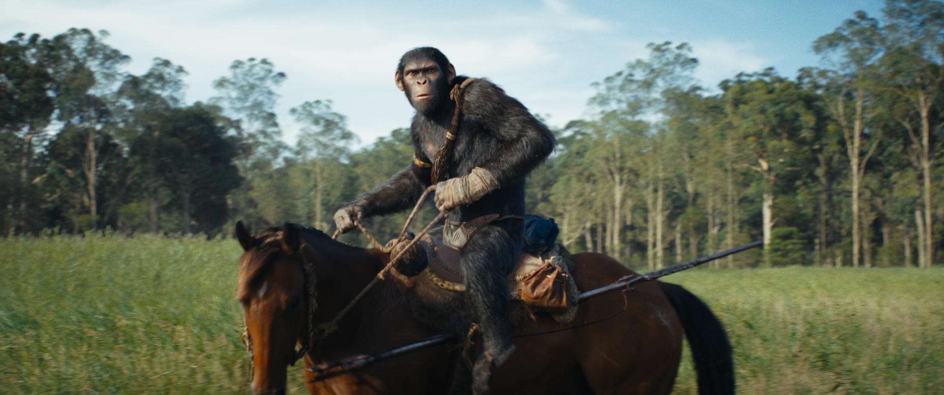 Fotograma cedido por 20th Century Studios de una escena de la película 'El planeta de los simios: nuevo reino'. EFE/ 20th Century Studios /SOLO USO EDITORIAL/NO VENTAS/SOLO DISPONIBLE PARA ILUSTRAR LA NOTICIA QUE ACOMPAÑA/CRÉDITO OBLIGATORIO
