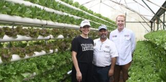 EEUU fortalece producción de ajo y frijol en Honduras