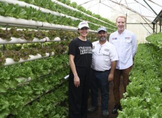 EEUU fortalece producción de ajo y frijol en Honduras