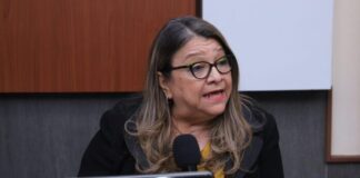 Las reservas internacionales no pueden seguir sosteniendo demanda de divisas: presidenta de CHE