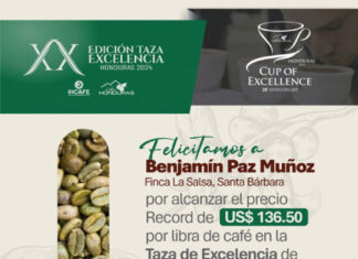 Productor hondureño alcanza 136.5 dólares por libra de café en subasta internacional