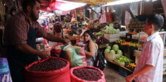 Honduras tendrá un crecimiento económico en 2024 promedio a la región: Cohep