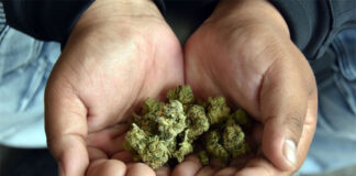 Más de 150 mil inmigrantes fueron deportados por uso o posesión de marihuana