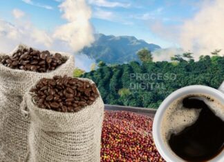 Honduras busca aprovechar nichos de mercado de café y cacao chinos