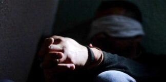 ONG reporta 2.066 casos de secuestro en México en primer año del Gobierno de Sheinbaum