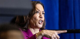 Kamala Harris recauda 310 millones de dólares en julio, más del doble que Trump