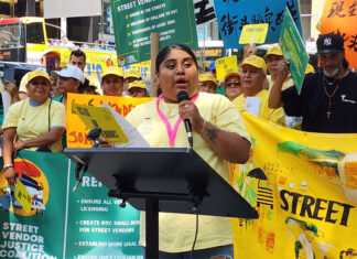 Vendedores ambulantes de Nueva York exigen reformas para acceder a permisos comerciales