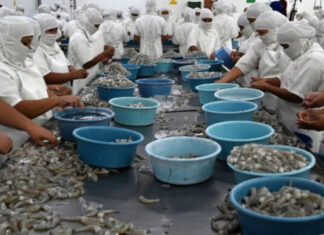 Acuerdo de Cosecha Temprana entre Honduras y China será vigente desde el 1 de septiembre