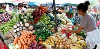 Esta semana 15 productos de la canasta básica reporta baja en su precio