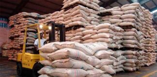 Caída de exportación de café es “bastante grave”, advierte exportador