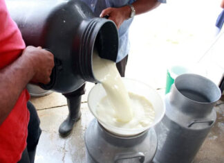 Se reduce en 10 % la producción de leche por migración de productores a otros rubros