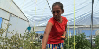 Migrantes varados en la frontera norte de México cultivan sus propios alimentos